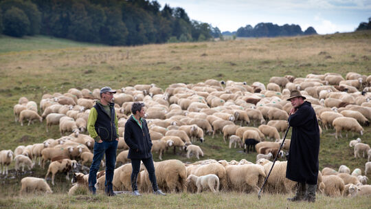 Florian Kirchner und ­Inga Rubens besuchen den Neidlinger Schäfer Bernd Burkhardt und ihre Wolleproduzenten auf dem ehemaligen T
