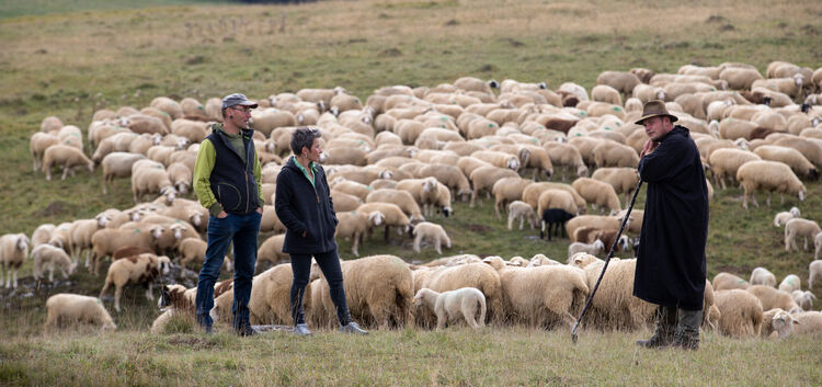 Florian Kirchner und ­Inga Rubens besuchen den Neidlinger Schäfer Bernd Burkhardt und ihre Wolleproduzenten auf dem ehemaligen T