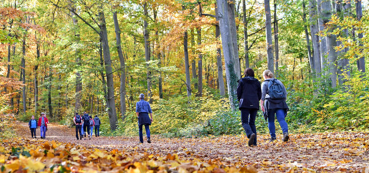 Sonniger Herbsttag unterhalb der Burg Teck, Wandern, Wanderer, Ausflug, Freizeit, Herbst, Spaziergang