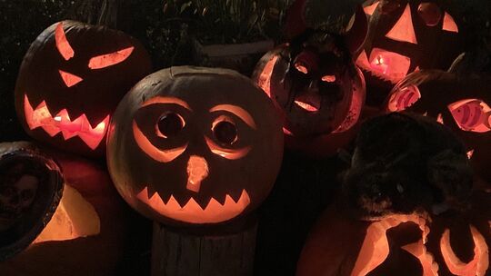 Kürbisse sollen den Weg zu "süßgkeitreichen Häuser" führen. Foto: Anke Kirsammer