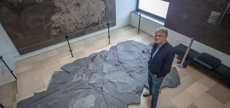 Rolf Bernhard Hauff will den Eurhinosaurier  am Bodensee ausstellen. Dort wird er aber erst im April 2021 eröffnen. Foto: Carste