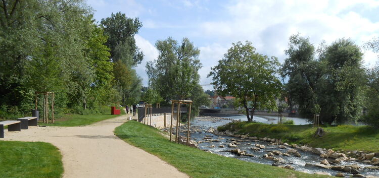 Fischtreppe am Neckar. Foto: pr
