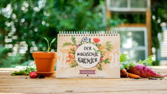 Der Kalender mit Samenpapier ist das ideale Geschenk für Menschen mit dem „grünen Daumen“.Foto: pr