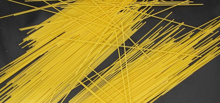 Spaghetti sind beliebt wie eh und je: Am heutigen 4. Januar begehen die USA ihren „National Spaghetti Day“. Fotos: Thomas Krytzn