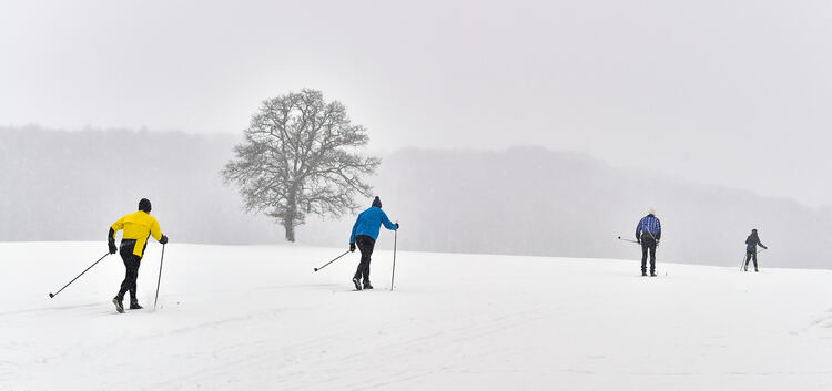Winter, Schnee, Torfgrube, Schopflocher Moor, Langlauf, Langläufer, Ski