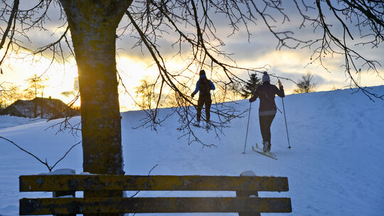 Ski heil heißt es dank der winterlichen Bedingungen seit Wochen für Langlauf-Fans. Foto: Markus Brändli