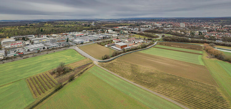 Die geplante Gewerbefläche in Dettingen wird vorerst auf die Hälfte reduziert.Foto: Carsten Riedl