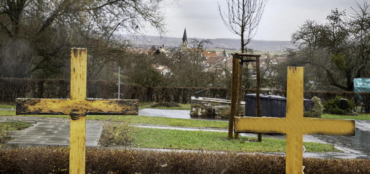 Urnengräber bei solitär stehenden Bäumen möchte die SPD/Grüne-Fraktion gerne auf einem Dettinger Friedhof realisieren. Foto: Jea