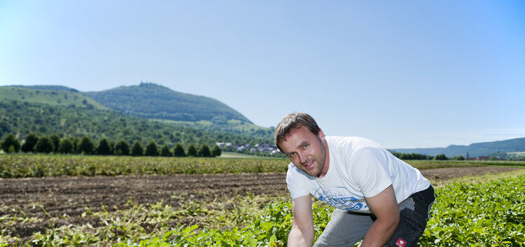 Andreas Munk erntet bereits seit Ende Mai Frühkartoffeln unter der Teck.Foto: Deniz Calagan