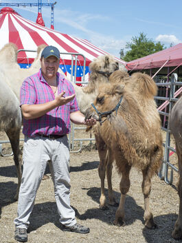 Gerade ‚mal ein Vierteljahr alt ist das russische Kamelbaby, das mit dem „großen internationalen Circus-Festival“ noch bis zum S