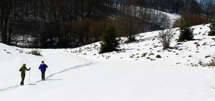 Die Loipen sind auf der Alb zwar nicht mehr gespurt, ein paar Unentwegte frönen aber trotzdem ihrem Hobby. Foto: Dieter Ruoff