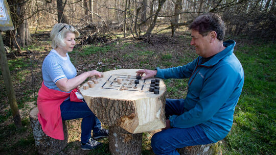 Ein Holzstamm lädt zum spontanen Mühlespiel ein. Foto: Staufenpress