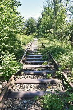 Die Bahnstrecke nach Bad Boll ist der Natur noch vollends ausgesetzt. Foto: Markus Brändli