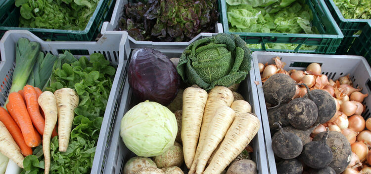 Gemüse aus der Region auf dem Wochenmarktgesunde Ernährung