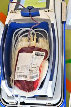 In Bissingen wird Blut gespendet. Symbolfoto
