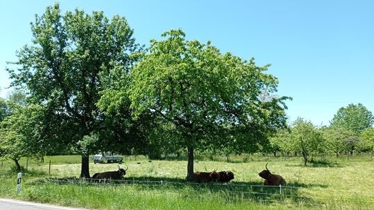 Mit dem VVS lassen sich viele Wanderziele in der Region bequem erreichen. Foto: pr
