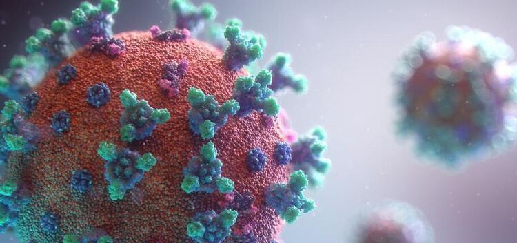 Die Delta-Variante des Coronavirus ist im Landkreis angekommen. Foto: Symbolbild