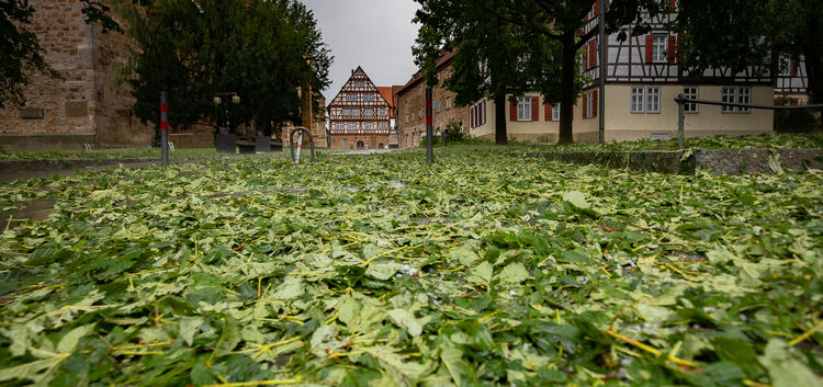 Das gesamte Stadtgebiet, hier der Martinskirchplatz, ist übersät von Blättern. Foto: Carsten Riedl