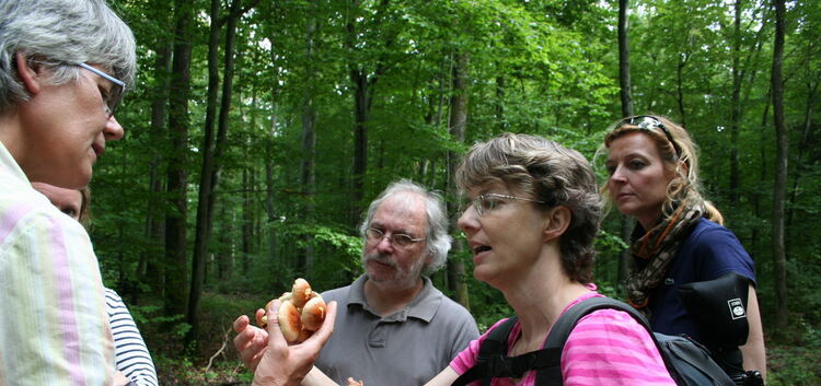 Dr. Norbert Haiß (Mitte) und Dr. Claudia Görke (rechts daneben) begutachten die Pilze und zeigen, wie man sie unterscheiden kann