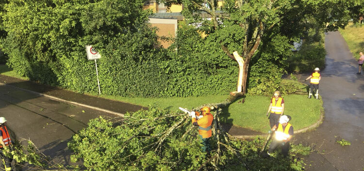 Beim Sturm Ende Juni hatte die Kirchheimer Feuerwehr alle Hände voll zu tun. Auch zahlreiche umgestürzte Bäume mussten die Helfe