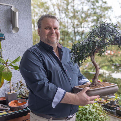 Thomas Schaal präsentiert stolz seinen Steineibe-Bonsai. Der Baum ist ungefähr 40 Jahre alt. Fotos: Carsten Riedl
