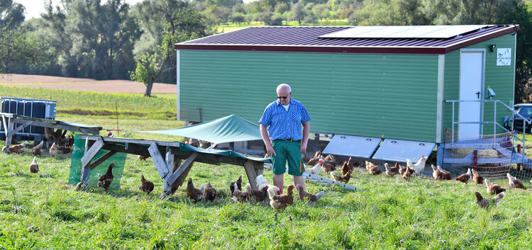 Ein Mann, 230 Hühner und fünf Hähne: Der Notzinger Markus Hägele hält seit Anfang des Jahres Hühner in seinem mobilen Stall. Fot