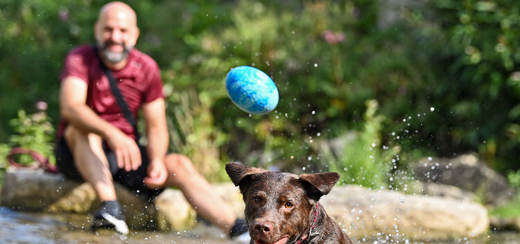 sommerliche Hitze, Lindach, Hund spielt im Wasser, Abkühlung, Sommer