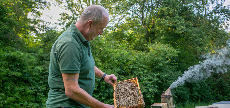 Weil die Bienen in freier Natur kaum Nahrung fanden, musste Imker Robert Gleich schon früh zufüttern.Foto: Roberto Bulgrin