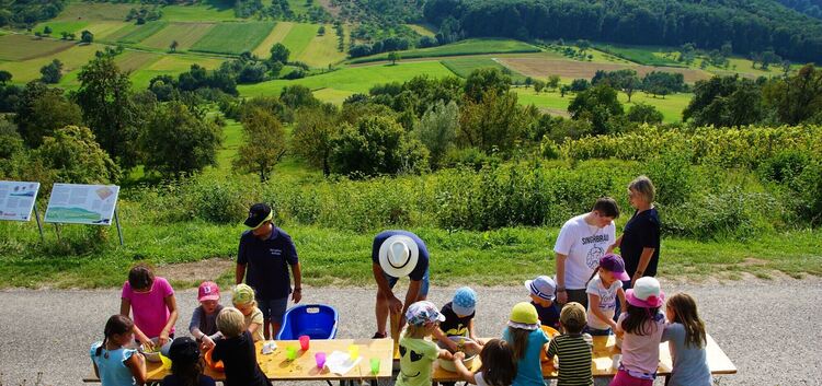 Keiner ist zu klein, um Weingärtner zu sein: Den Kindern machte der Ausflug in die Weinberge während des Ferienprogramms sichtli