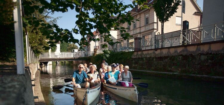 So malerisch kann eine sommerliche Kanutour durch die Esslinger Neckarkanäle sein. Doch die kommende Saison ist noch nicht gesic