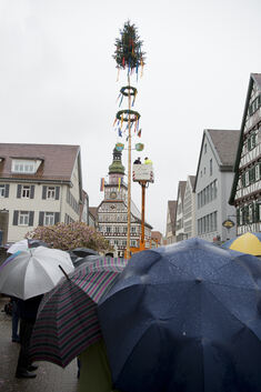 Der Regen prägt das Bild. Die kurze Maibaum-Zeremonie bestand deshalb auch nur im Anbringen von Flaggen und Zunftzeichen.Foto: D