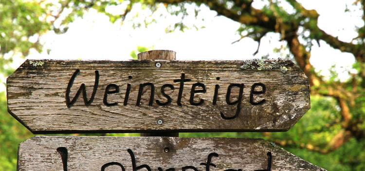 Weinwanderung Weilheim Limburg, mit Stadtrat Bauer, 15.05.15, Ruoff-albpluto