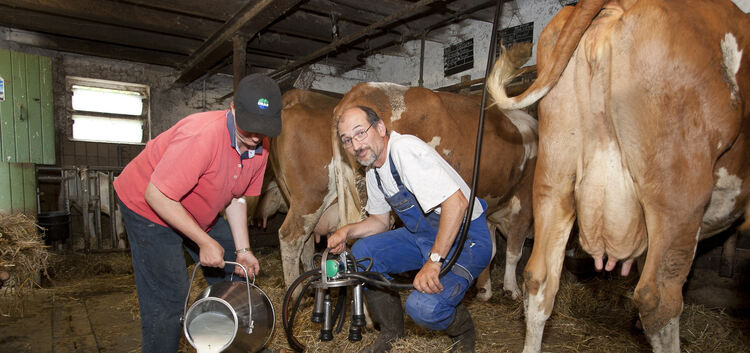 „Weniger als Mindestlohn“: Siegfried Rau aus Notzingen zählt zu den kleinsten Milcherzeugern im Kreis. Für ihn ist Landwirtschaf