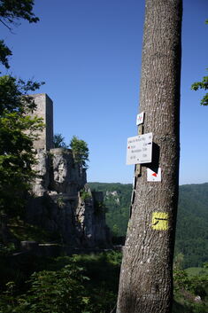 Ruine Reußenstein als Highlight