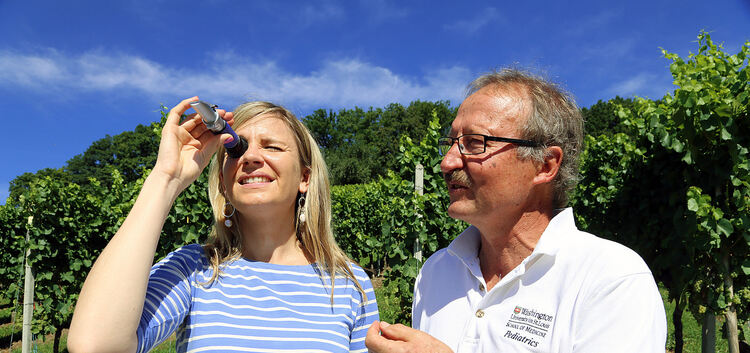 Christiane Leibssle und Helmut Dolde wagen durchs Refraktometer einen Blick auf das Endprodukt der Weinlese 2015. Lediglich die