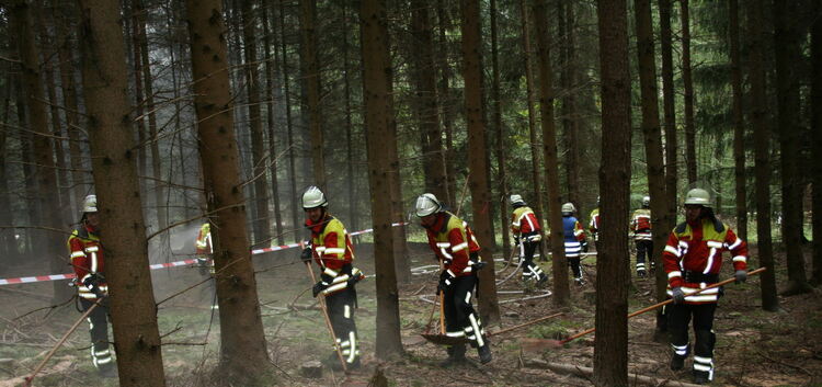 Mit Feuerpatschen und viel Wasser löschten fünf Feuerwehren den Waldbrand im Gewann „Vor Eichholz“ in Owen. Foto: privat