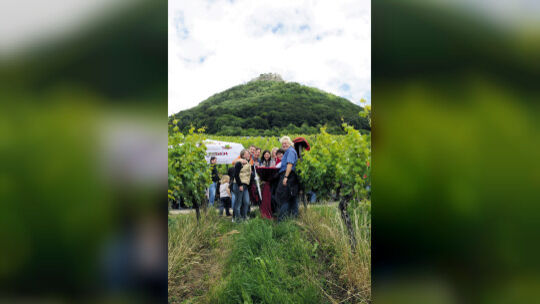 Mit der Kamera in die Weinberge aufgemacht hat sich Teckboten-Fotograf Deniz Calagan.