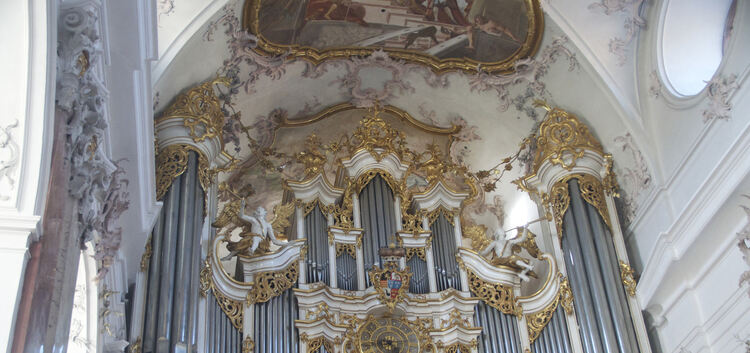 Die Teilnehmer der Orgelreise des Fördervereins Kirchenmusik unter Teck besichtigten auch die Orgel in der ehemaligen Abteilkirc