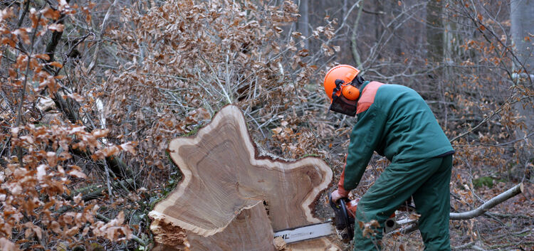 In Dettingen soll im kommenden Jahr nicht mit voller Kraft Holz geerntet werden.Foto: Jean-Luc Jacques
