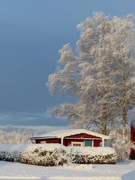 „Echter Winter“ auf dem Campingsplatz von Pechs. Das ist in Schweden nichts Besonderes.Fotos: privat