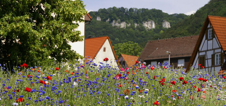 So sehen die blühenden Landschaften in Oberlenningen aus, wie sie sich Landrat Heinz Eininger wünscht. Foto: Werner Schulmeyer