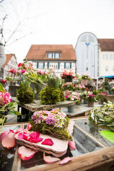 Auf dem Kirchheimer Markt blühen dieses Jahr schon im Februar die Blumen um die Wette. Zwiebelpflanzen präsentieren sich als Ers