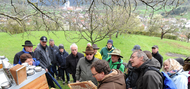 Imker Benjamin Merkle zeigt den Teilnehmern der Blütenwanderung im Lenninger Tal seine Bienenvölker.Foto: Andreas Kaier