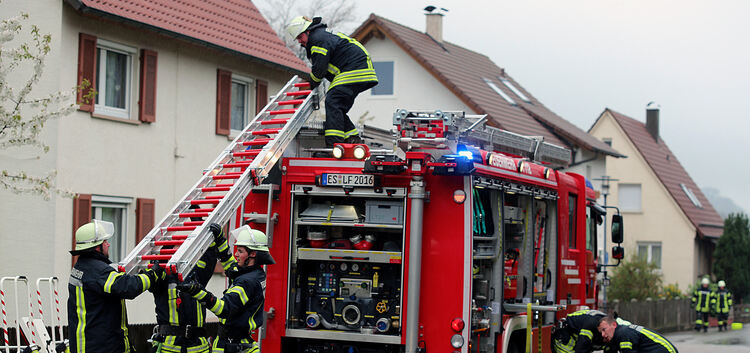 Bei der Hauptübung der Abteilungen Brucken und Lenningen der Freiwilligen Feuerwehr Lenningen, stellten rund 35 Kameraden ihre S
