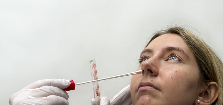 Wichtig für die Früherkennung von Keimen in Krankenhäusern: ein Abstrich in der Nase, der schnell analysiert werden kann Foto: J