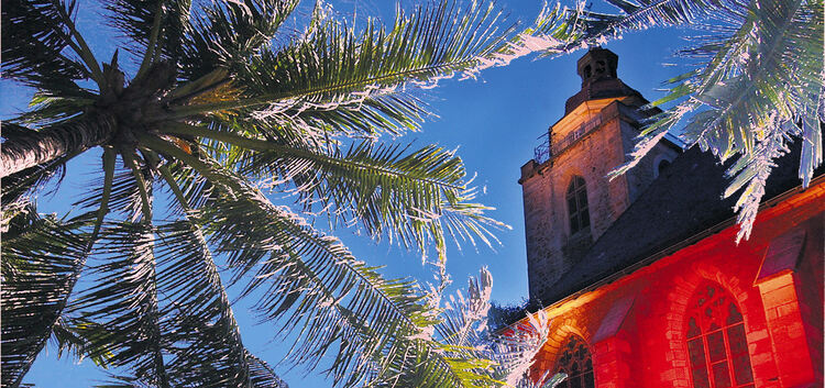 Die Palmen und die Martinskirche gehören beim Kirchheimer Sommernachtskino so eng zusammen wie Lichteffekte und - hoffentlich -