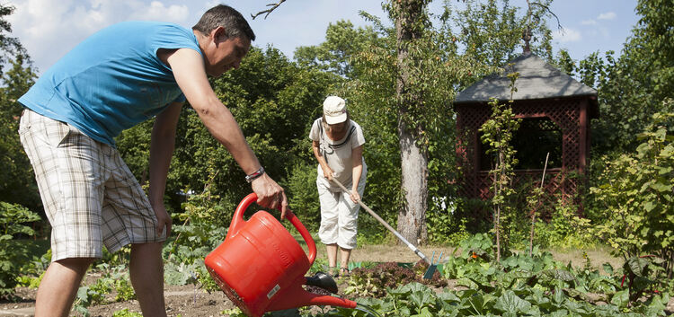 Gärtnern ist in, Kleingartenvereine nicht mehr so. Das bereitet dem Bezirksverband der Gartenfreunde Sorgen. Foto: Jean-Luc Jacq