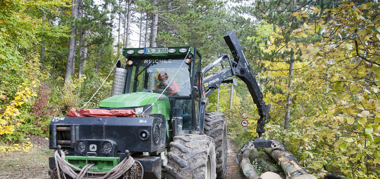 Waldarbeiten , Forst , Wald - Holz in Unterlenningen - Baum - Baumsägen - Forstarbeiter, Baumfällarbeiten