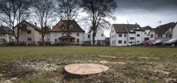 Noch ist wenig davon zu sehen: Auf der Klosterwiese sollen bis Jahresende 68 Menschen eine neue Heimat finden. Foto: Jean-Luc Ja
