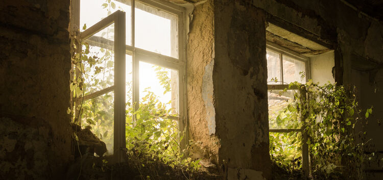 Die Natur ist nicht aufzuhalten an diesem verlassenen Wohnhaus in Belgien. Fotos: Tobias Weiler